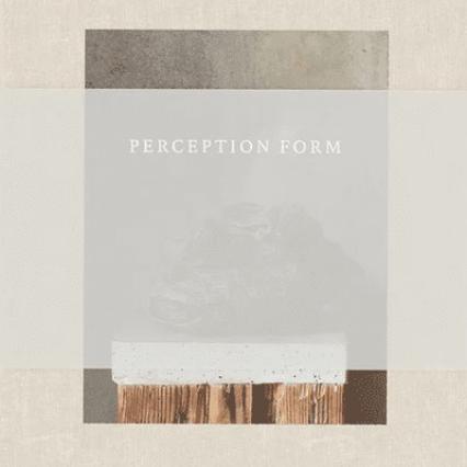 Perception Form Book