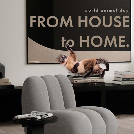 From house to home. A heartfelt thank you from Ergo Home Group. World Animal Day 2024